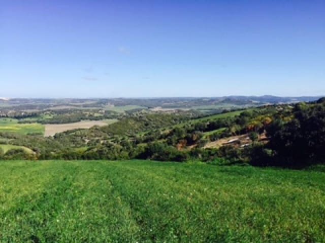 Finca/Landehus til salg i Vejer de la Frontera - € 300.000 (Ref: 4515081)