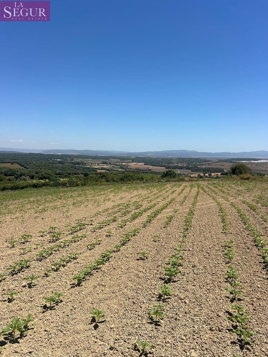 Grunde uden byggetilladelser til salg i Vejer de la Frontera - € 100.000 (Ref: 4515155)