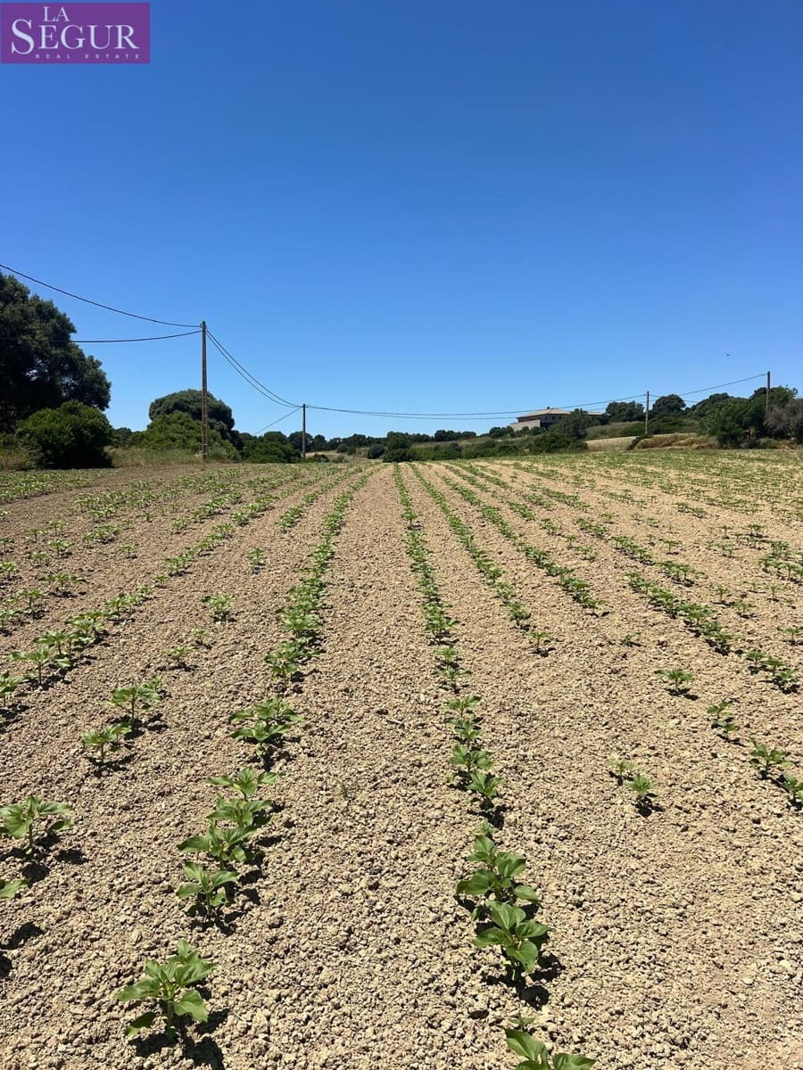 Grunde uden byggetilladelser til salg i Vejer de la Frontera - € 100.000 (Ref: 4515155)