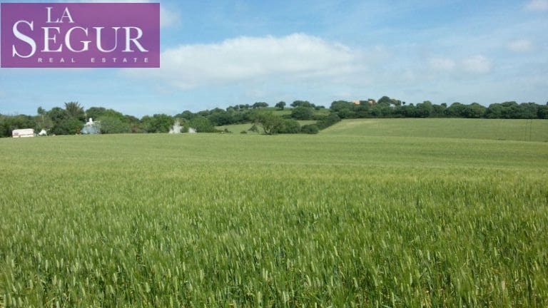 Grunde uden byggetilladelser til salg i Vejer de la Frontera - € 100.000 (Ref: 4515155)