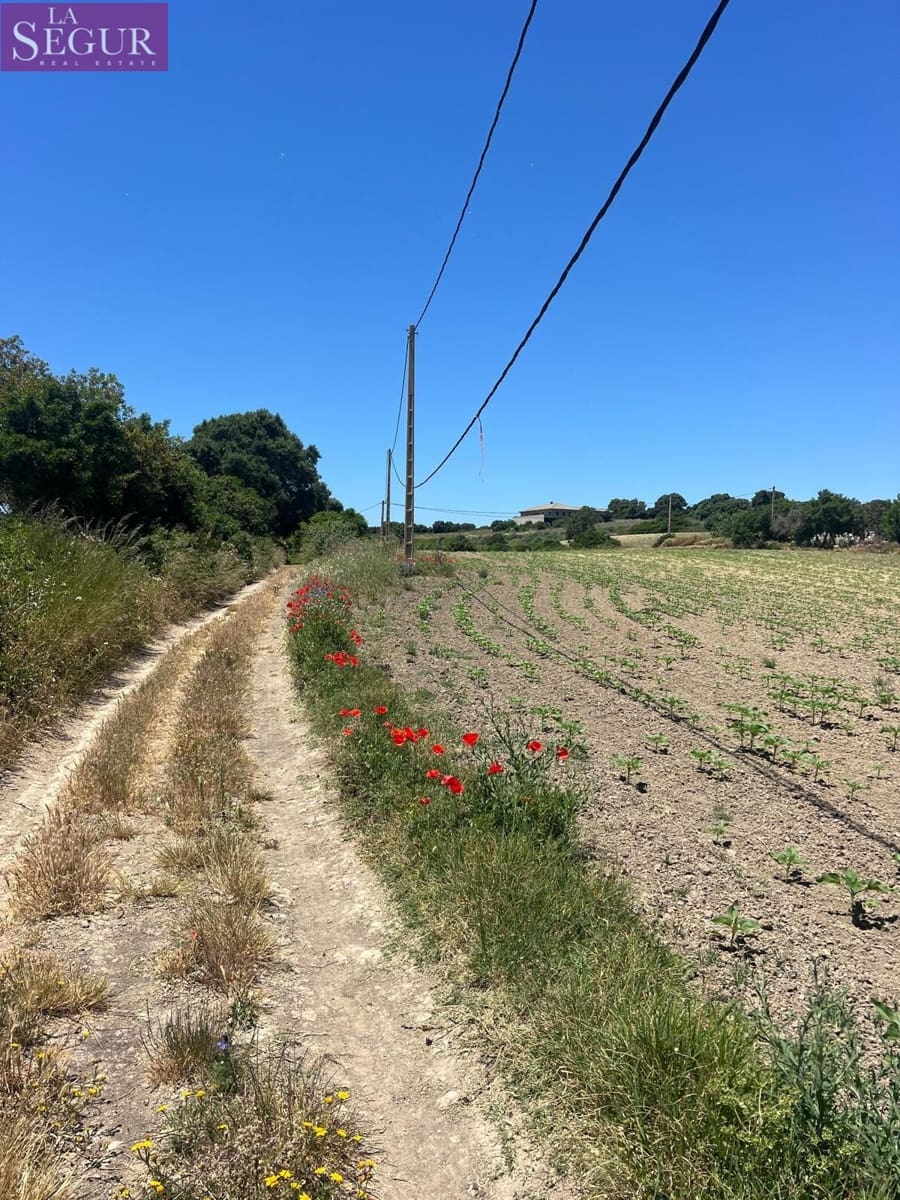 Grunde uden byggetilladelser til salg i Vejer de la Frontera - € 100.000 (Ref: 4515155)