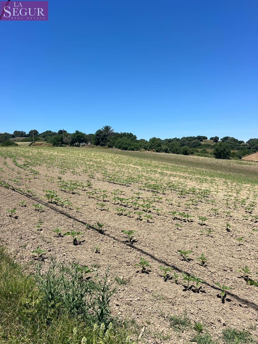 Grunde uden byggetilladelser til salg i Vejer de la Frontera - € 100.000 (Ref: 4515155)