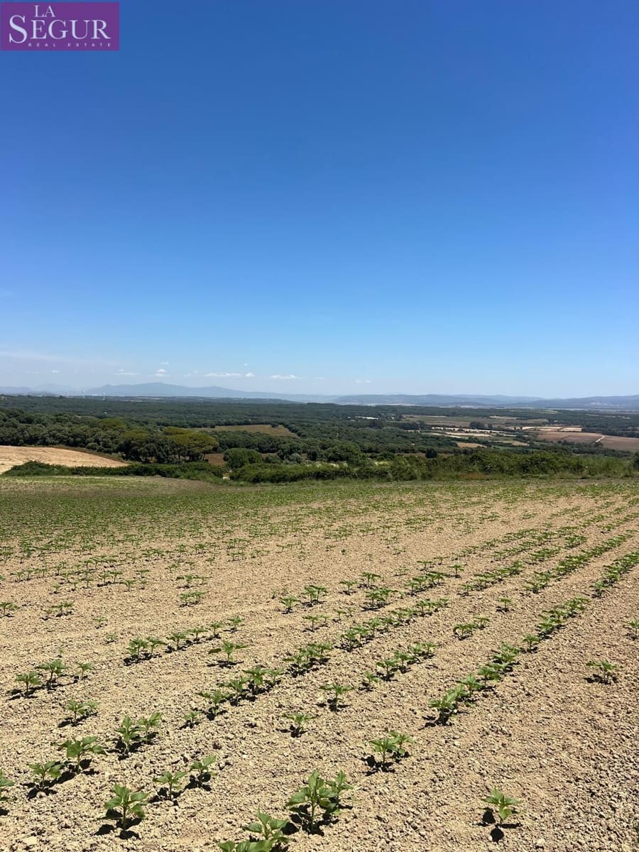 Grunde uden byggetilladelser til salg i Vejer de la Frontera - € 100.000 (Ref: 4515155)