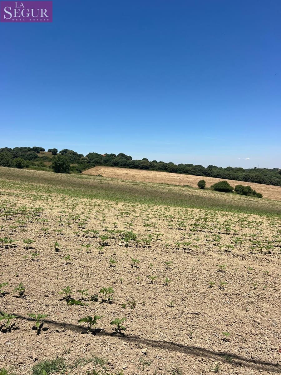 Grunde uden byggetilladelser til salg i Vejer de la Frontera - € 100.000 (Ref: 4515155)