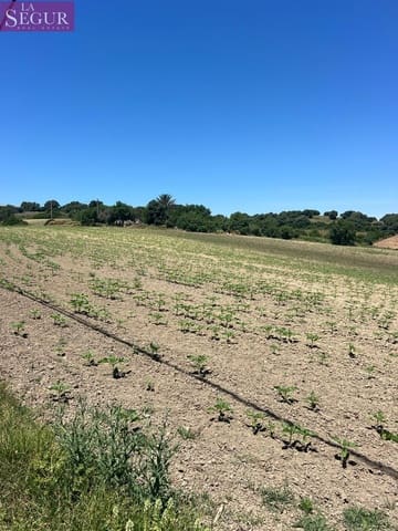 Grunde uden byggetilladelser til salg i Vejer de la Frontera - € 100.000 (Ref: 4515155)