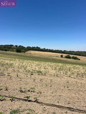 Grunde uden byggetilladelser til salg i Vejer de la Frontera - € 100.000 (Ref: 4515155)