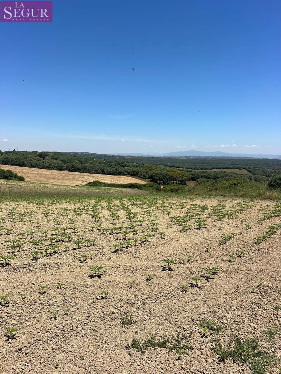 Grunde uden byggetilladelser til salg i Vejer de la Frontera - € 100.000 (Ref: 4515155)