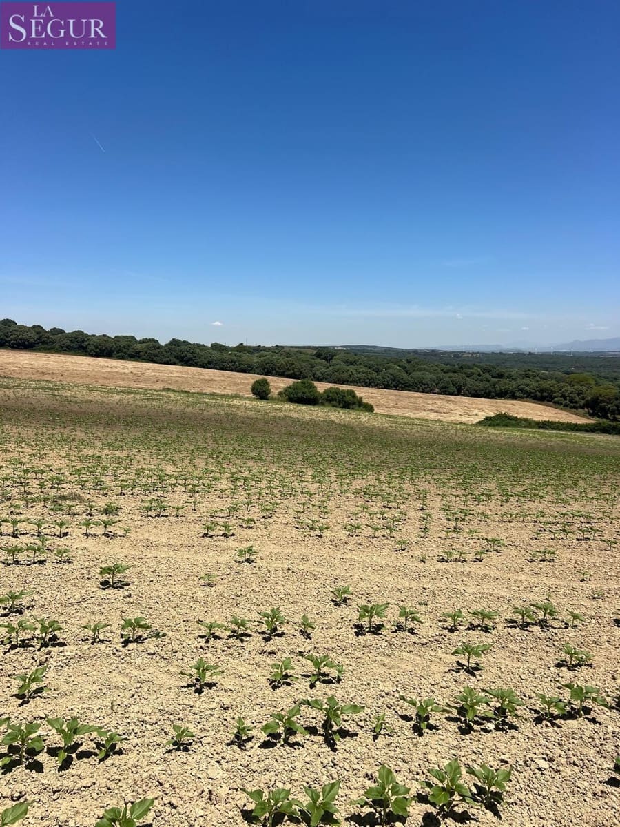 Grunde uden byggetilladelser til salg i Vejer de la Frontera - € 100.000 (Ref: 4515155)