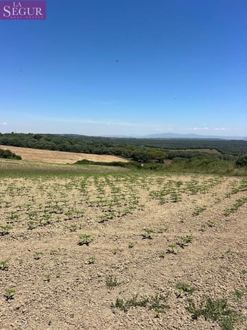 Grunde uden byggetilladelser til salg i Vejer de la Frontera - € 100.000 (Ref: 4515155)