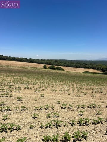 Grunde uden byggetilladelser til salg i Vejer de la Frontera - € 100.000 (Ref: 4515155)