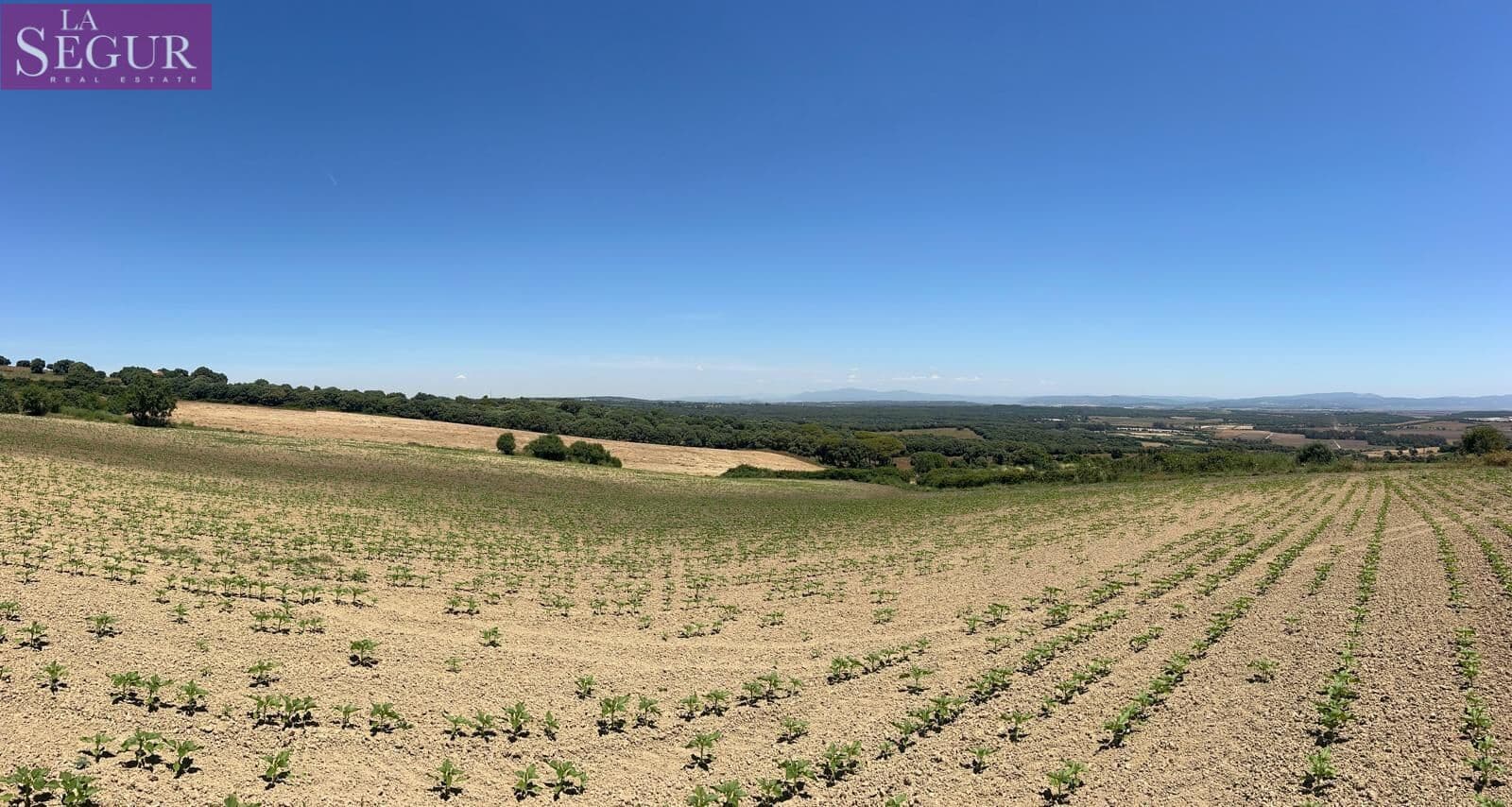 Grunde uden byggetilladelser til salg i Vejer de la Frontera - € 100.000 (Ref: 4515155)