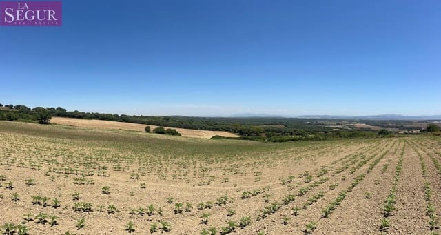 Grunde uden byggetilladelser til salg i Vejer de la Frontera - € 100.000 (Ref: 4515155)