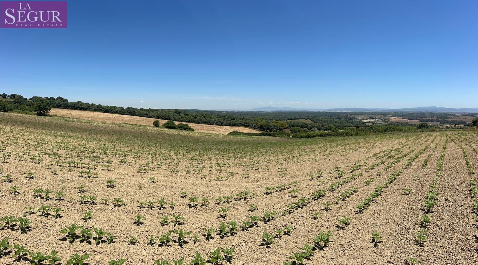 Grunde uden byggetilladelser til salg i Vejer de la Frontera - € 100.000 (Ref: 4515155)