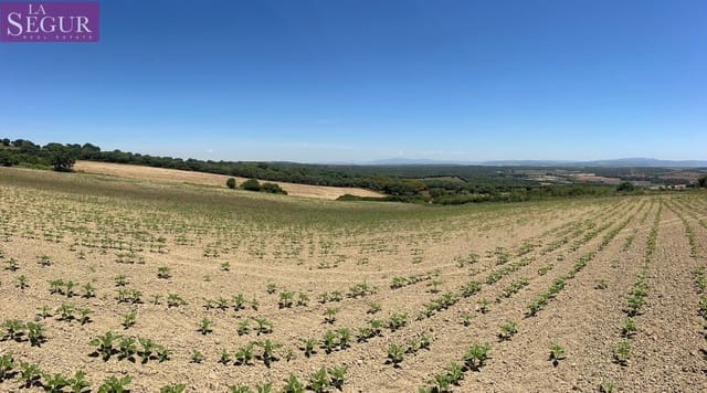 Grunde uden byggetilladelser til salg i Vejer de la Frontera - € 100.000 (Ref: 4515155)