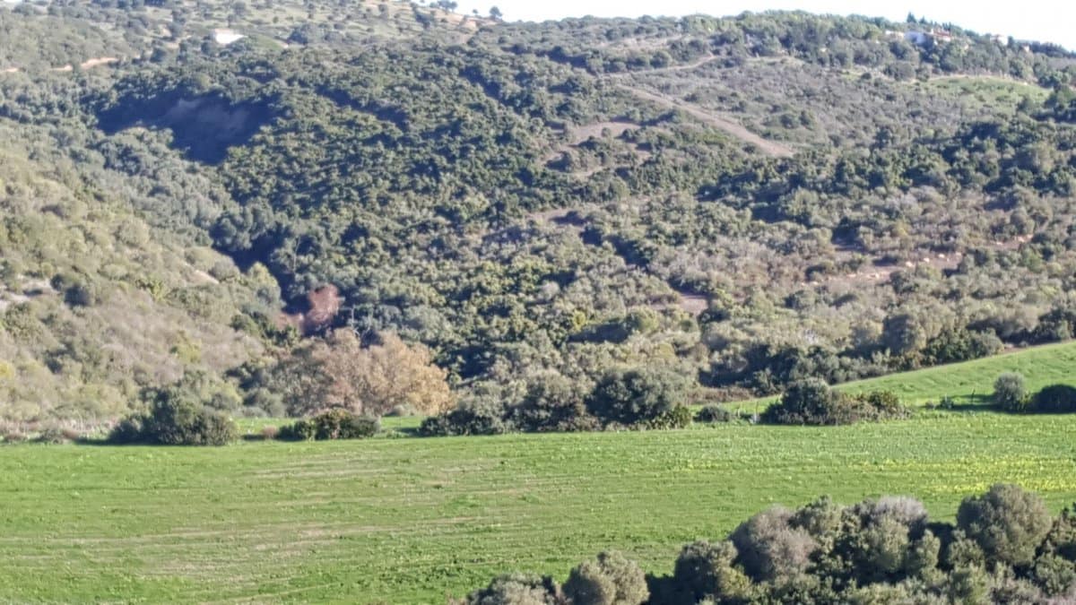 Terreno Não Urbanizado para venda em Vejer de la Frontera - 120 000 € (Ref: 4515208)