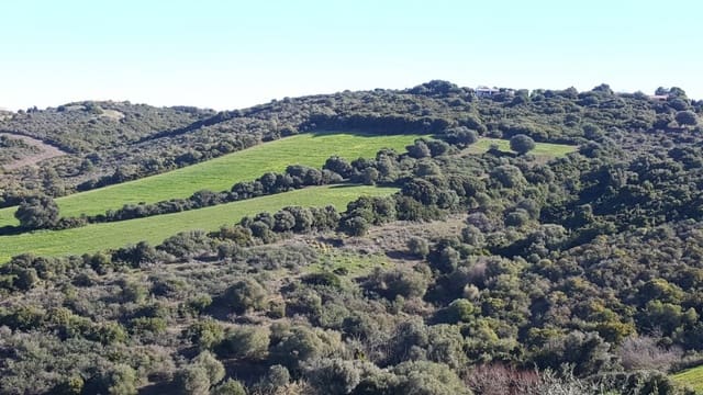 Grond te koop in Vejer de la Frontera - € 120.000 (Ref: 4515208)