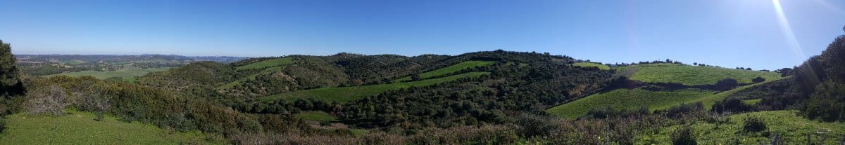 Terreno Não Urbanizado para venda em Vejer de la Frontera - 120 000 € (Ref: 4515208)