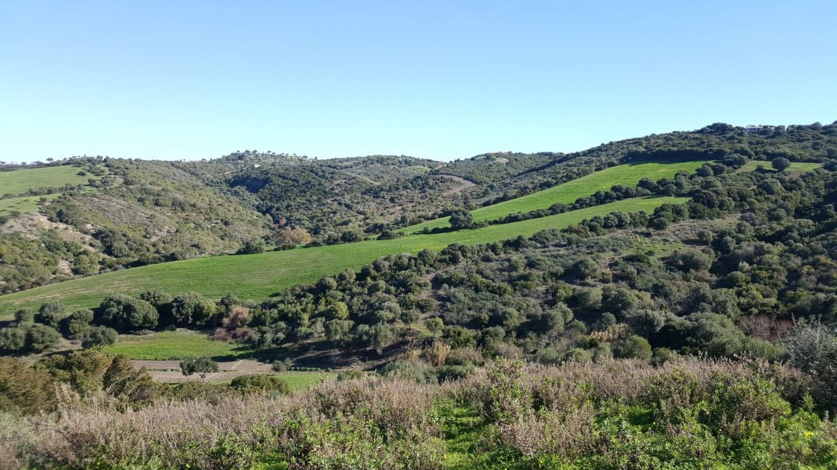 Terreno Não Urbanizado para venda em Vejer de la Frontera - 120 000 € (Ref: 4515208)