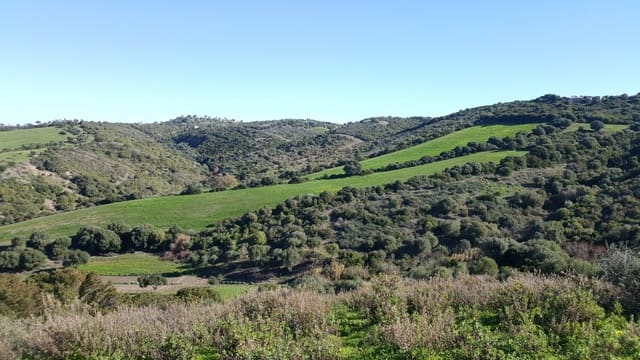 Grond te koop in Vejer de la Frontera - € 120.000 (Ref: 4515208)