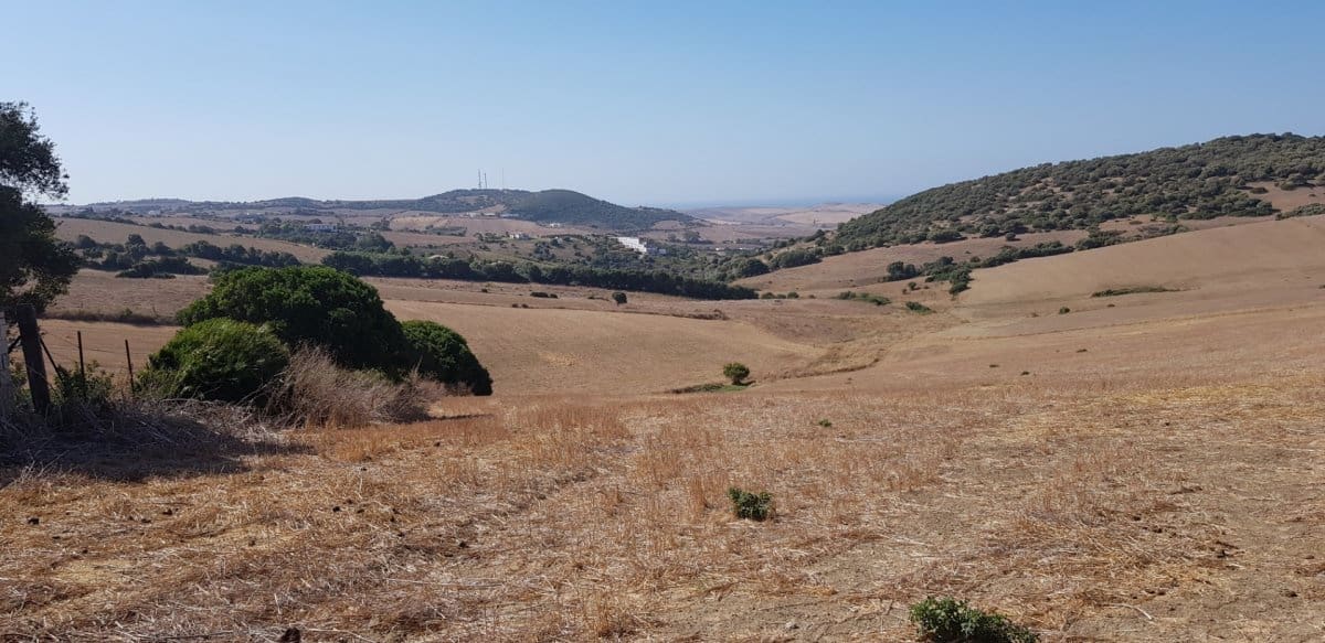 Grunde uden byggetilladelser til salg i Vejer de la Frontera - € 145.000 (Ref: 4515299)