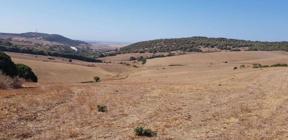 Grunde uden byggetilladelser til salg i Vejer de la Frontera - € 145.000 (Ref: 4515299)