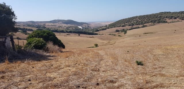 Grunde uden byggetilladelser til salg i Vejer de la Frontera - € 145.000 (Ref: 4515299)