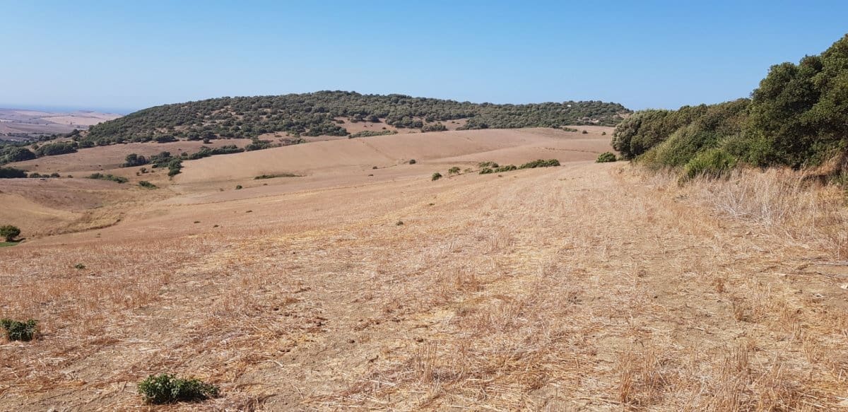 Grunde uden byggetilladelser til salg i Vejer de la Frontera - € 145.000 (Ref: 4515299)