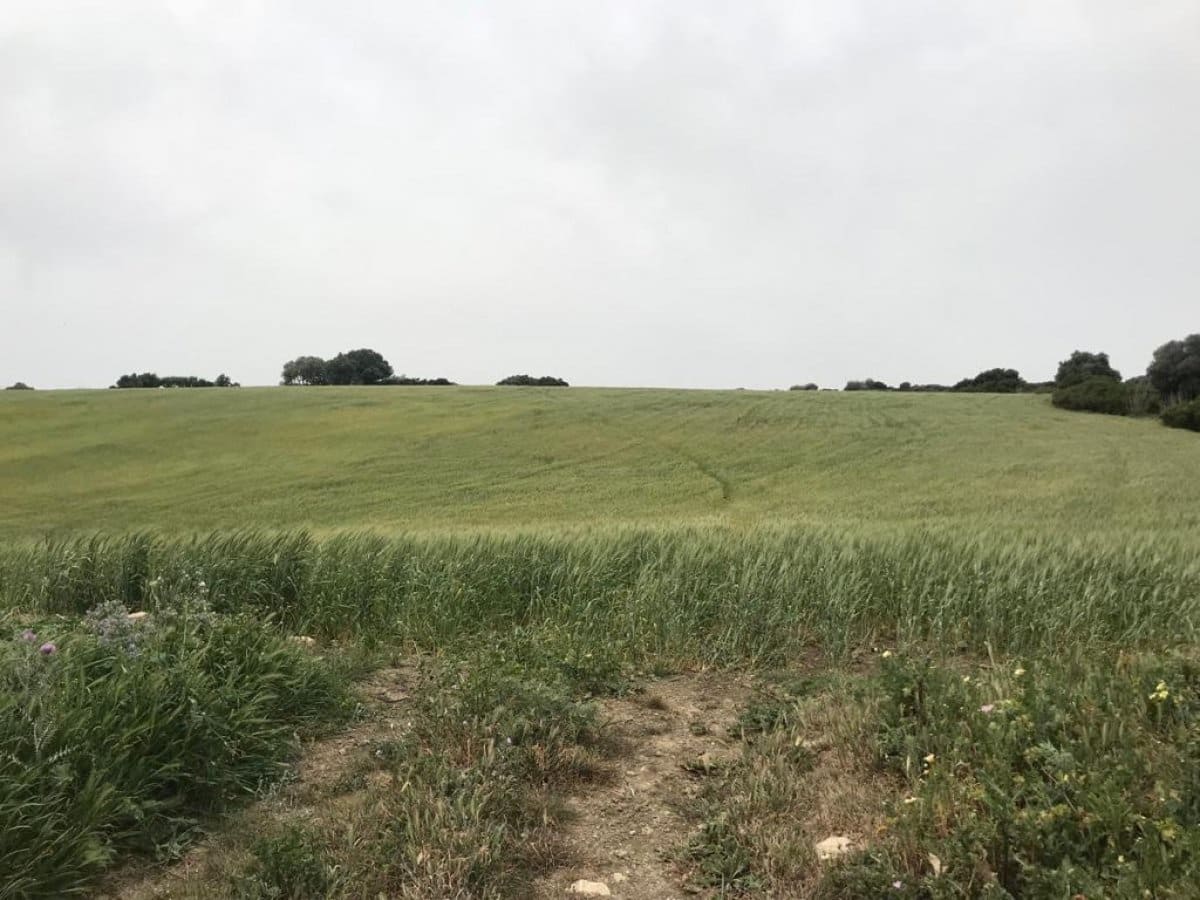 Undeveloped Land for sale in Vejer de la Frontera - € 200,000 (Ref: 4515366)