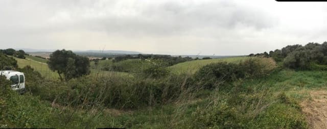 Undeveloped Land for sale in Vejer de la Frontera - € 200,000 (Ref: 4515366)