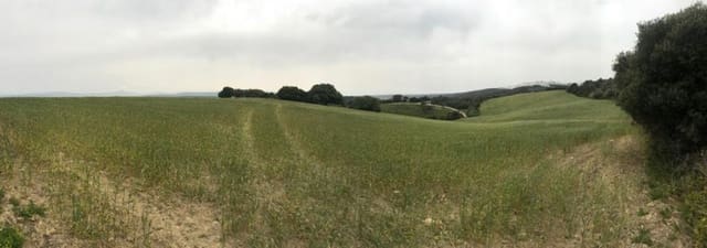 Undeveloped Land for sale in Vejer de la Frontera - € 200,000 (Ref: 4515366)