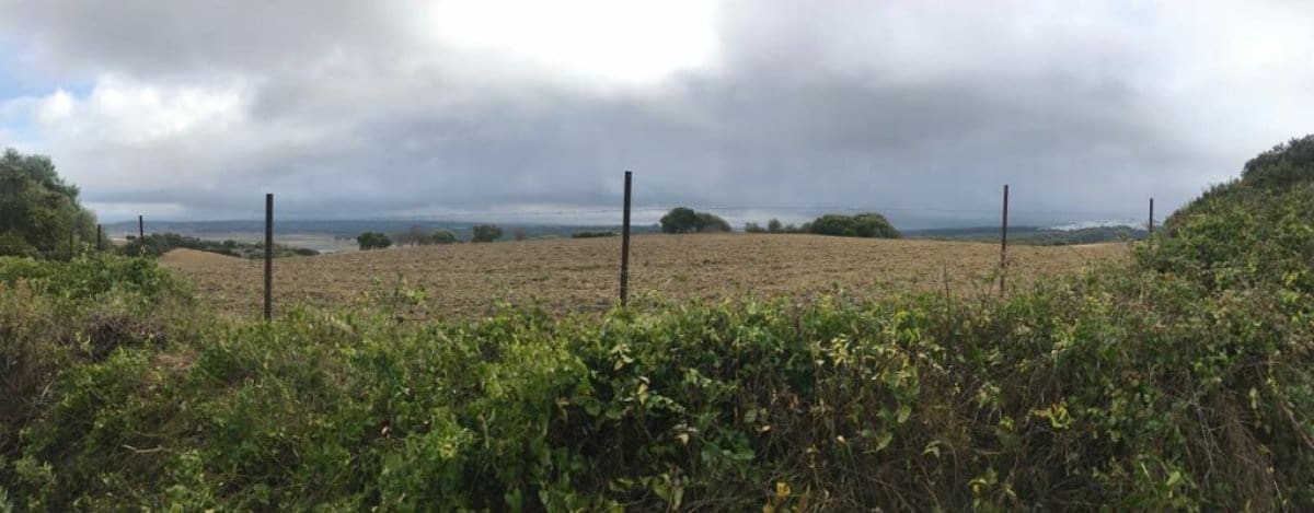 Undeveloped Land for sale in Vejer de la Frontera - € 200,000 (Ref: 4515366)