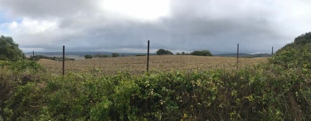 Undeveloped Land for sale in Vejer de la Frontera - € 200,000 (Ref: 4515366)