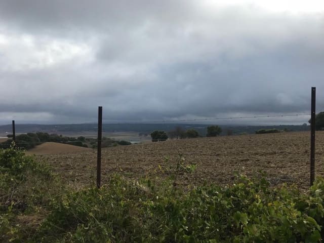 Undeveloped Land for sale in Vejer de la Frontera - € 200,000 (Ref: 4515366)