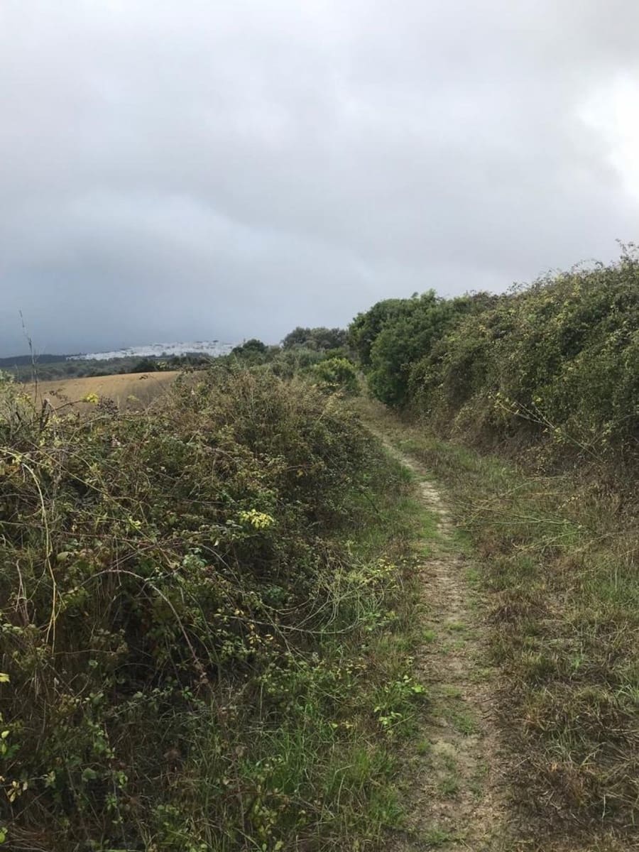 Undeveloped Land for sale in Vejer de la Frontera - € 200,000 (Ref: 4515366)