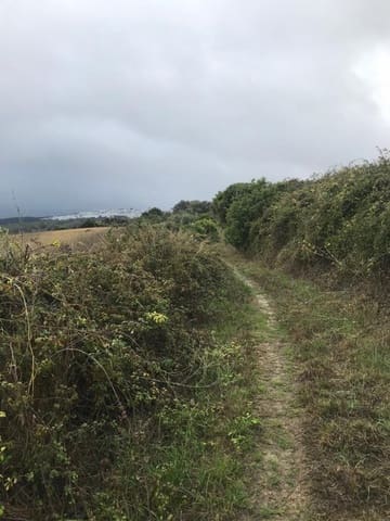 Undeveloped Land for sale in Vejer de la Frontera - € 200,000 (Ref: 4515366)