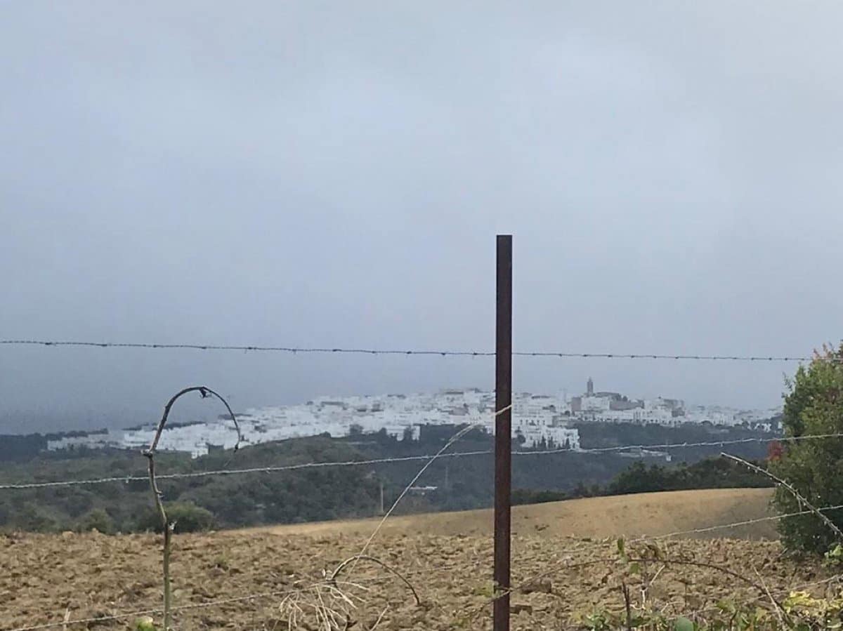 Undeveloped Land for sale in Vejer de la Frontera - € 200,000 (Ref: 4515366)