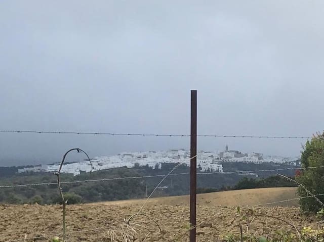 Undeveloped Land for sale in Vejer de la Frontera - € 200,000 (Ref: 4515366)