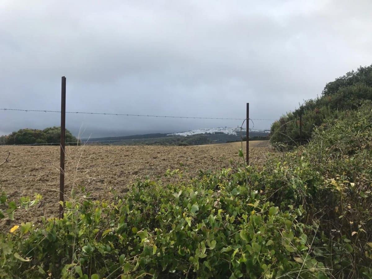 Undeveloped Land for sale in Vejer de la Frontera - € 200,000 (Ref: 4515366)