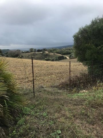 Undeveloped Land for sale in Vejer de la Frontera - € 200,000 (Ref: 4515366)