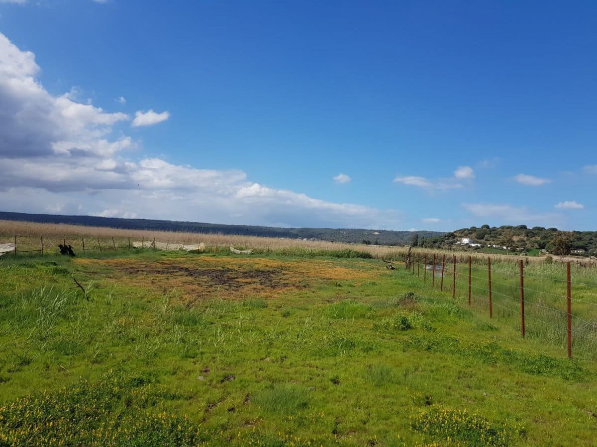 Grunde uden byggetilladelser til salg i Vejer de la Frontera - € 850.000 (Ref: 4523989)