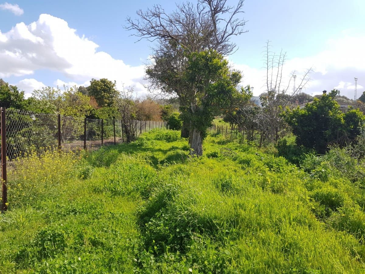 Grunde uden byggetilladelser til salg i Vejer de la Frontera - € 850.000 (Ref: 4523989)