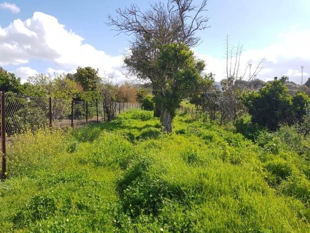 Grunde uden byggetilladelser til salg i Vejer de la Frontera - € 850.000 (Ref: 4523989)