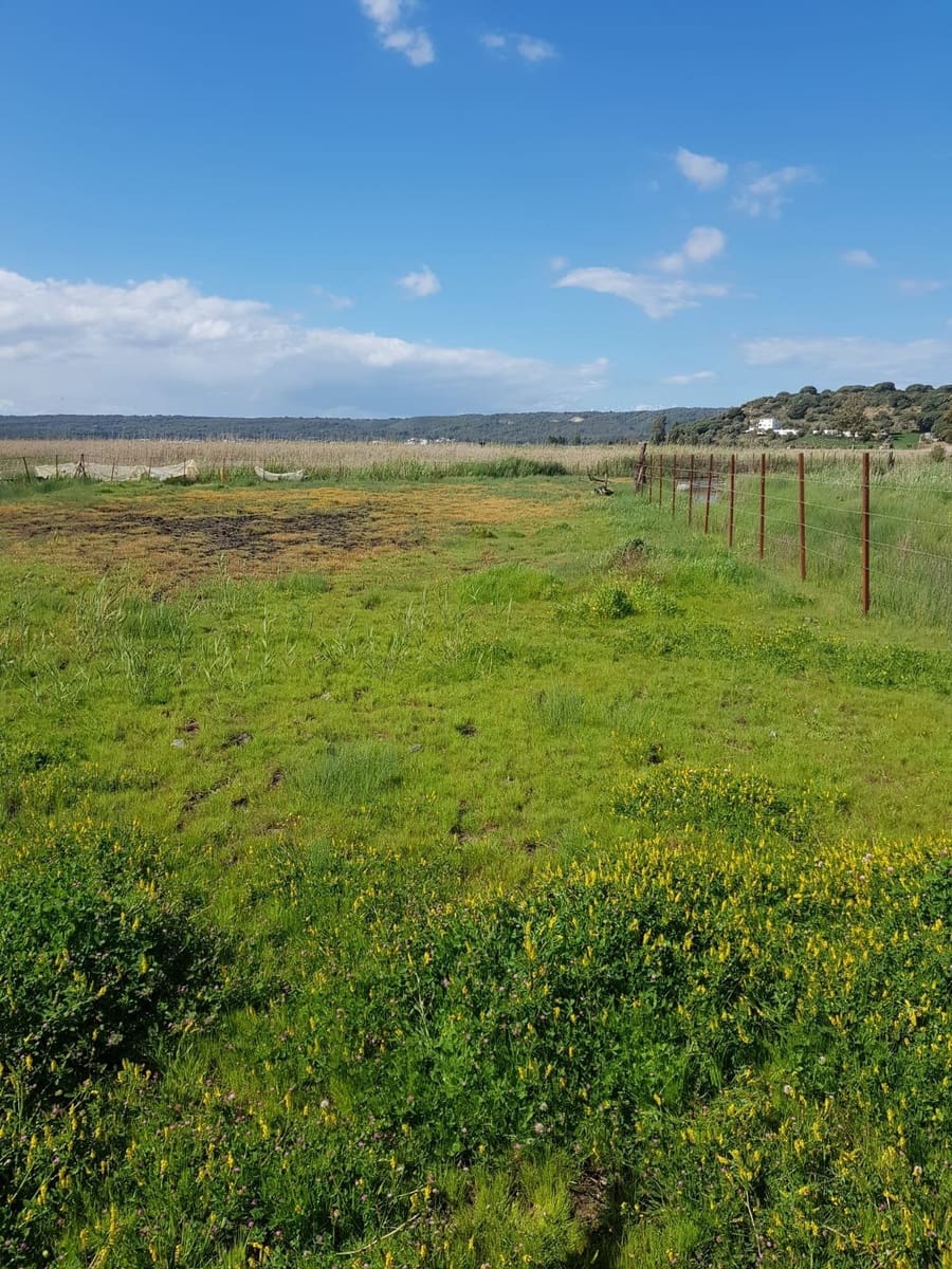 Grunde uden byggetilladelser til salg i Vejer de la Frontera - € 850.000 (Ref: 4523989)