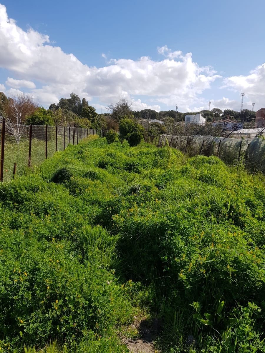 Grunde uden byggetilladelser til salg i Vejer de la Frontera - € 850.000 (Ref: 4523989)