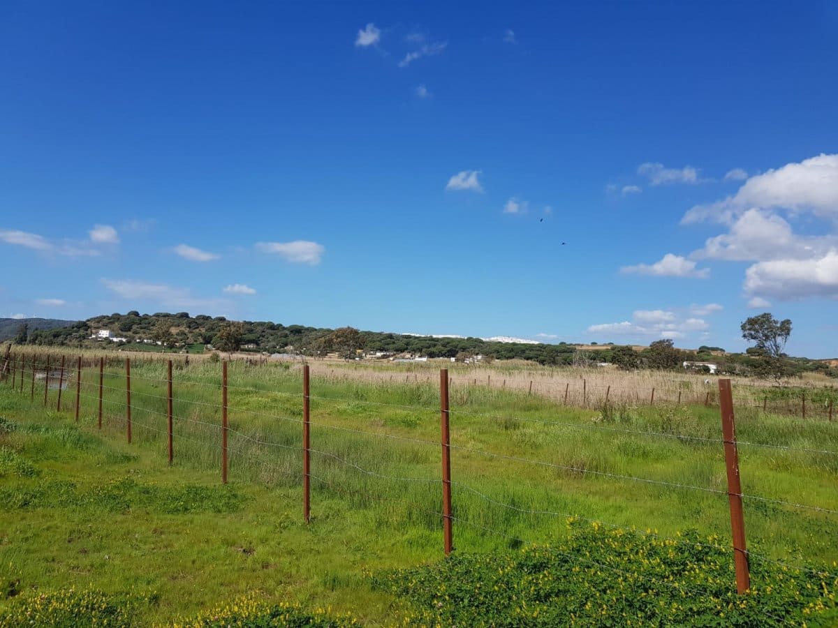 Grunde uden byggetilladelser til salg i Vejer de la Frontera - € 850.000 (Ref: 4523989)