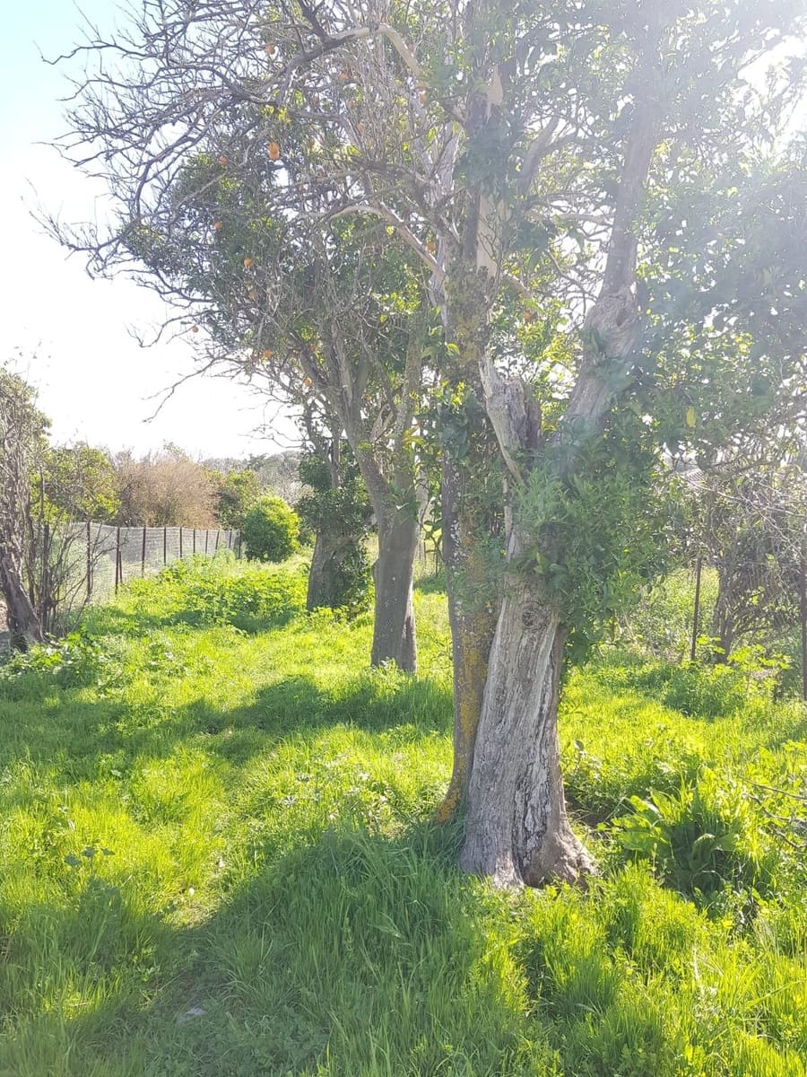 Grunde uden byggetilladelser til salg i Vejer de la Frontera - € 850.000 (Ref: 4523989)