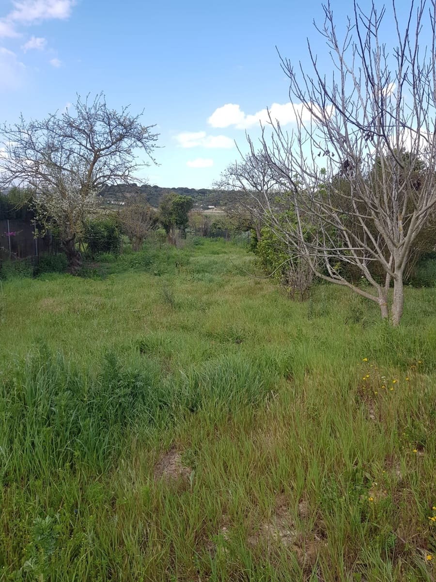 Grunde uden byggetilladelser til salg i Vejer de la Frontera - € 850.000 (Ref: 4523989)