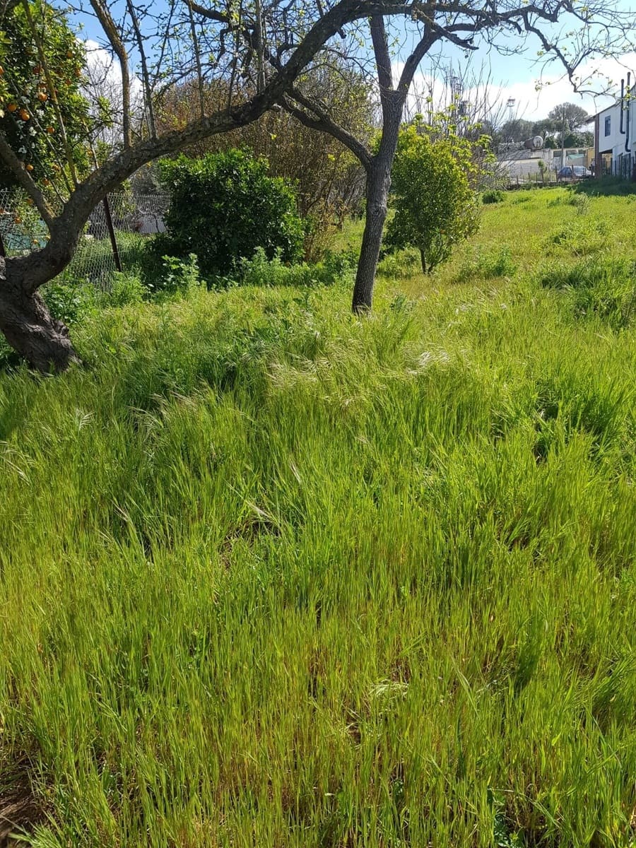 Grunde uden byggetilladelser til salg i Vejer de la Frontera - € 850.000 (Ref: 4523989)