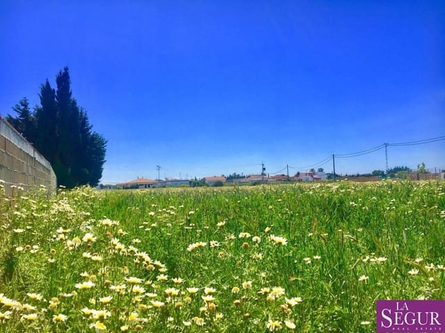 Ubebygd land til salgs i El Palmar, Vejer de la Frontera - € 610 000 (Ref: 4604529)