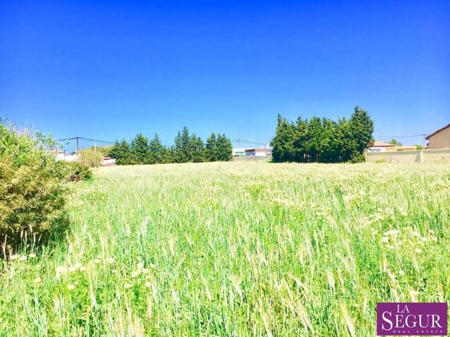 Ubebygd land til salgs i El Palmar, Vejer de la Frontera - € 610 000 (Ref: 4604529)